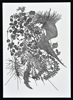 Herbold_Drawing