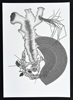 Herbold_Drawing