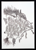 Herbold_Drawing