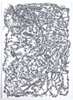 Herbold_Drawing
